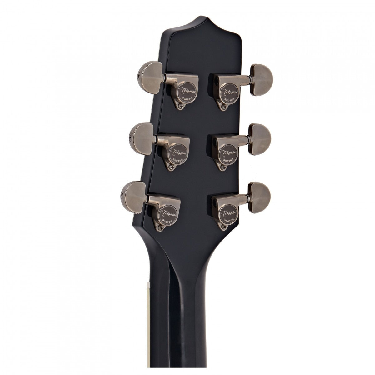 Đàn Guitar Acoustic Takamine LTD2021 Blue Rose