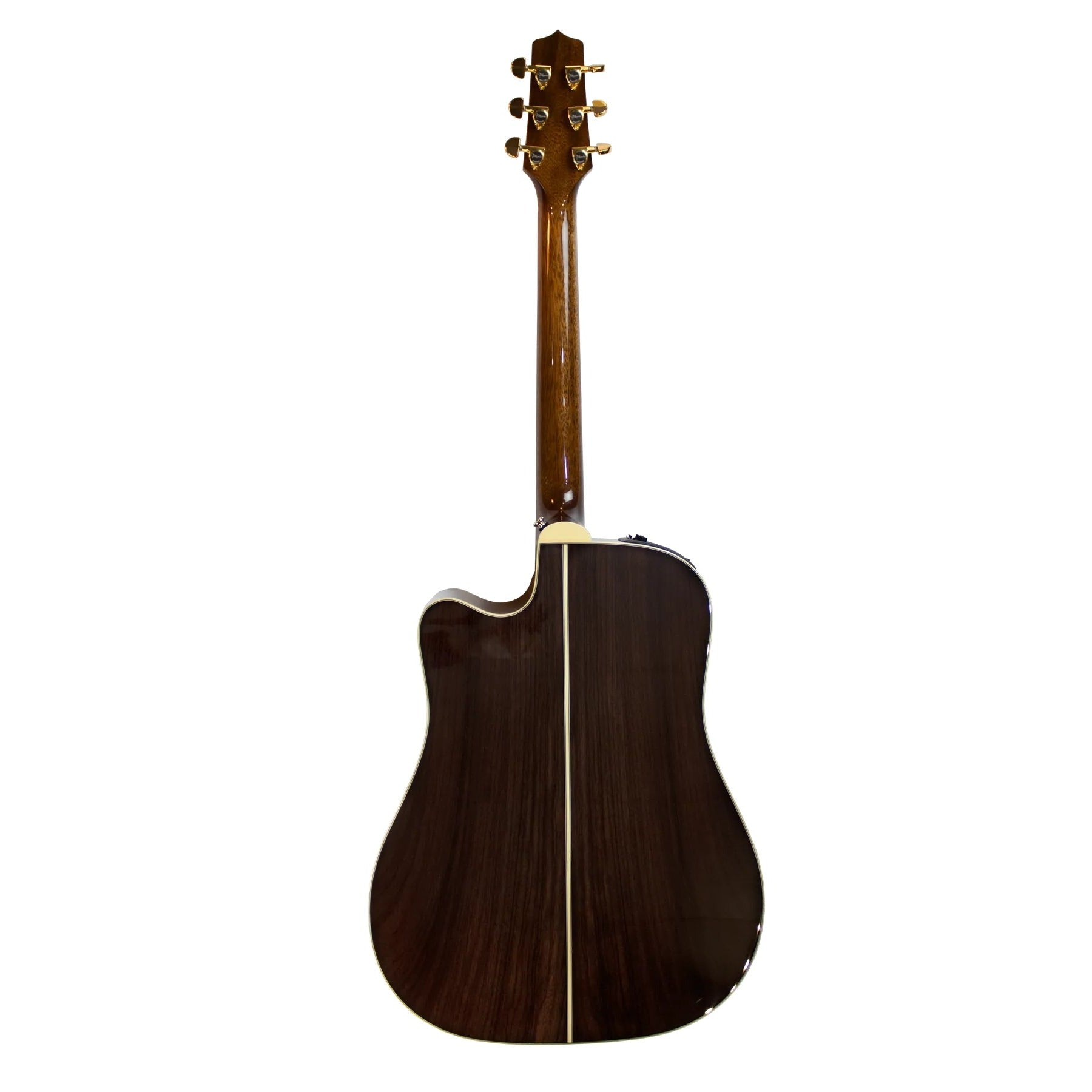 Đàn Guitar Acoustic Takamine P5DC