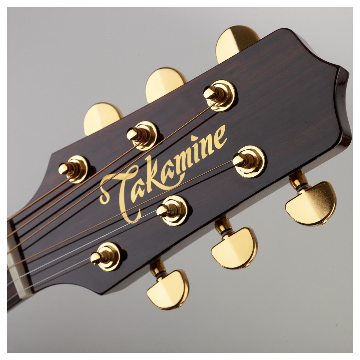 Đàn Guitar Acoustic Takamine P5DC