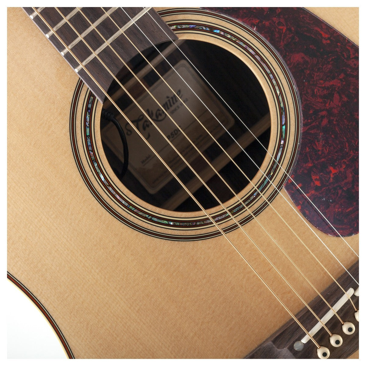 Đàn Guitar Acoustic Takamine P5DC