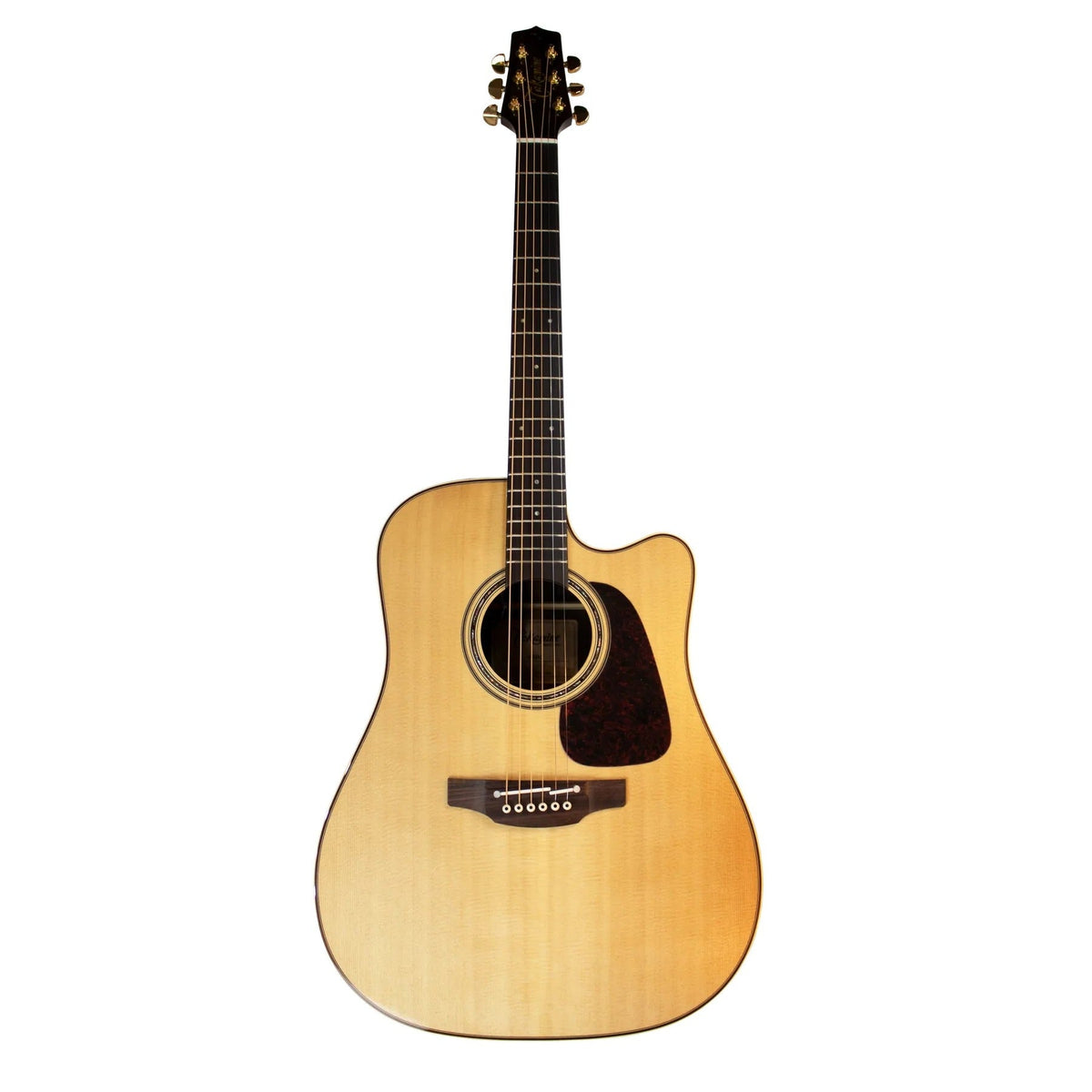 Đàn Guitar Acoustic Takamine P5DC