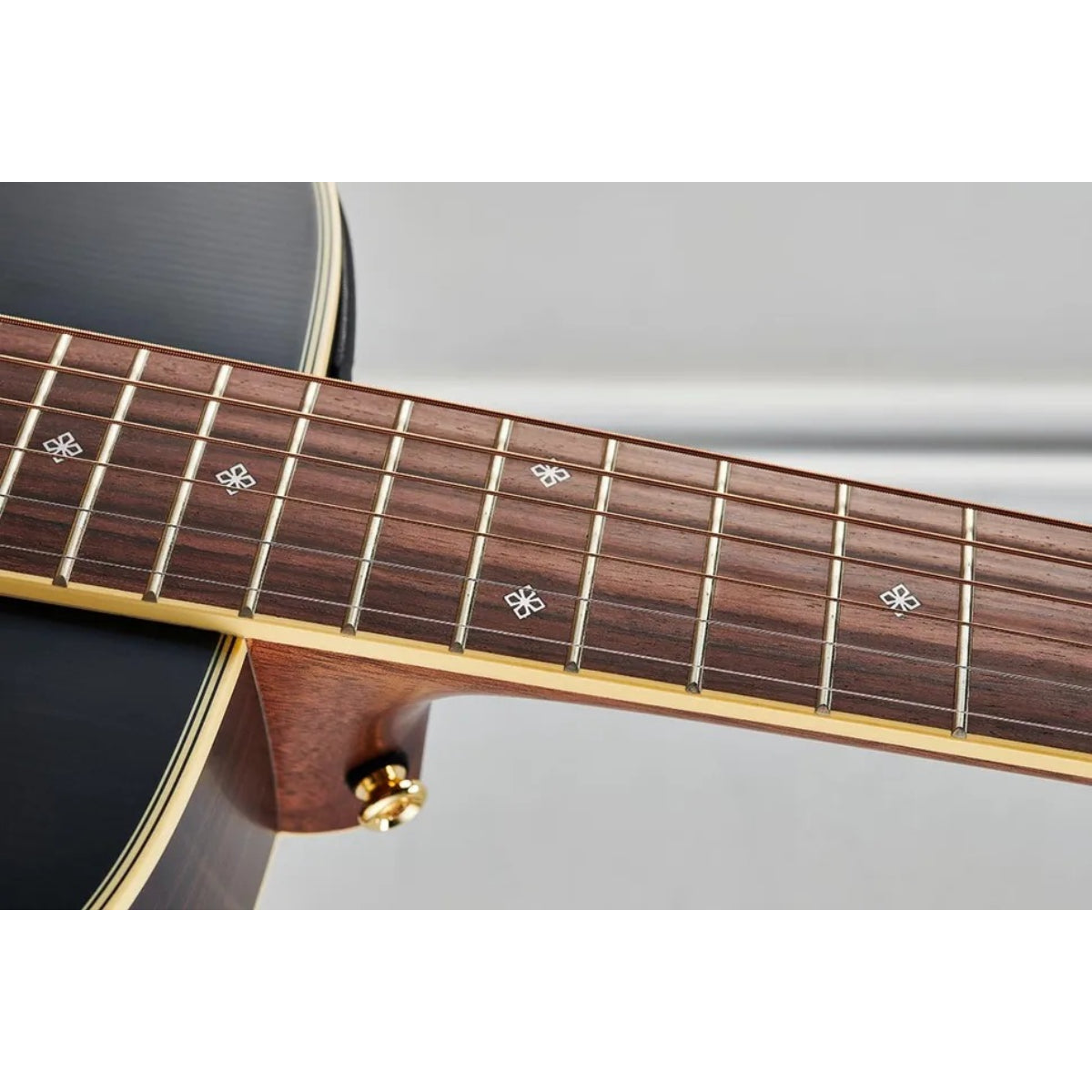 Đàn Guitar Acoustic Takamine PTU441 MTB