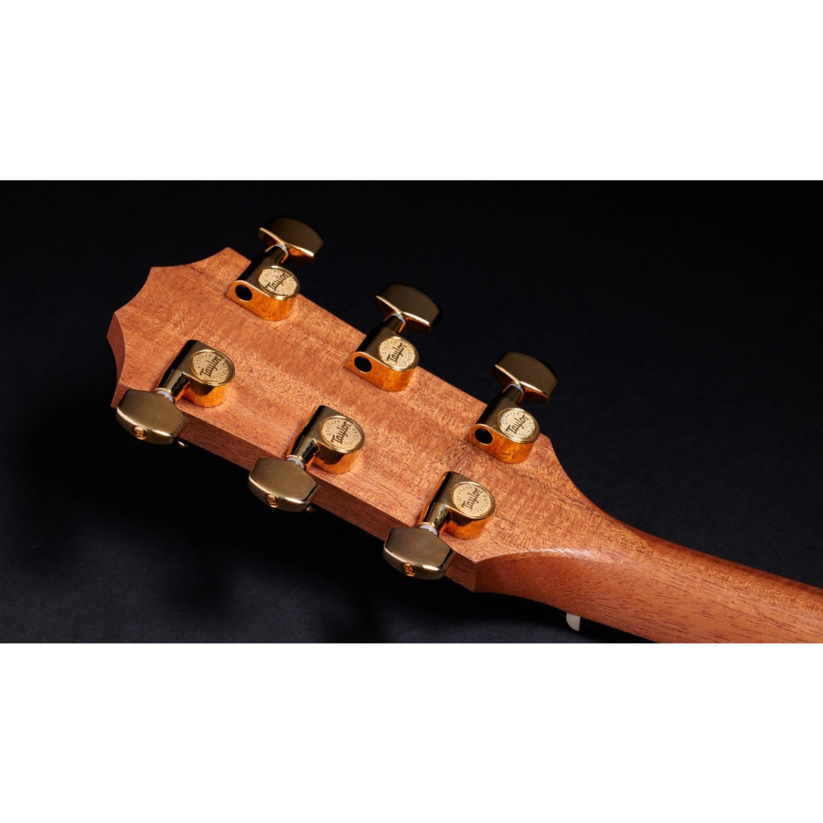 Đàn Guitar Acoustic Taylor 217E-SB Plus