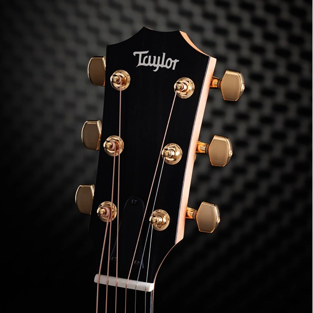 Đàn Guitar Acoustic Taylor 217E-SB Plus