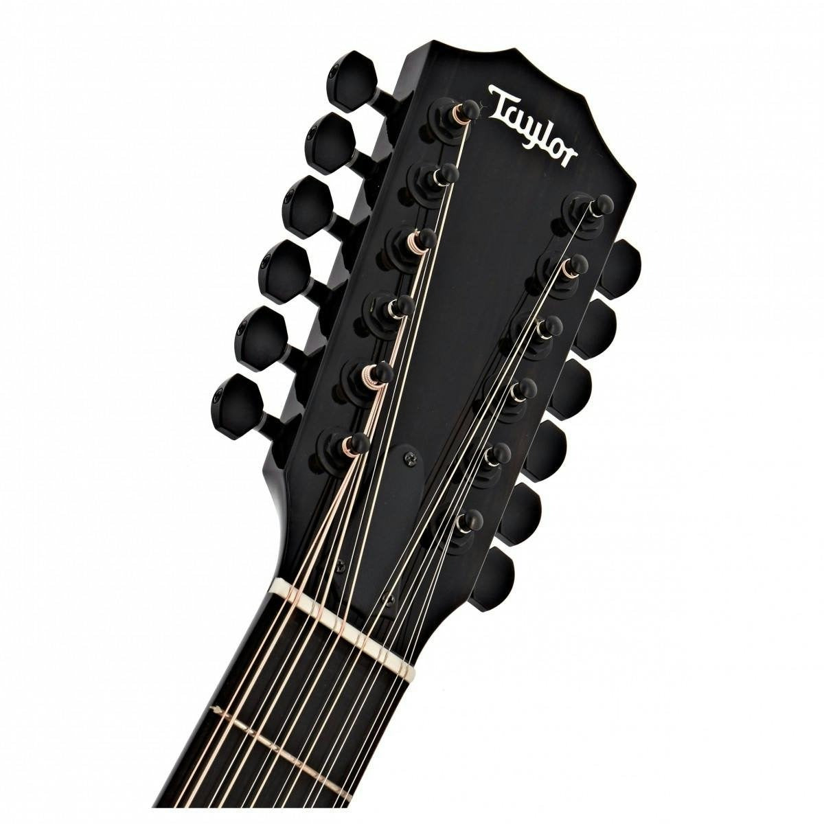 Đàn Guitar Acoustic Taylor 250ce-BLK Plus