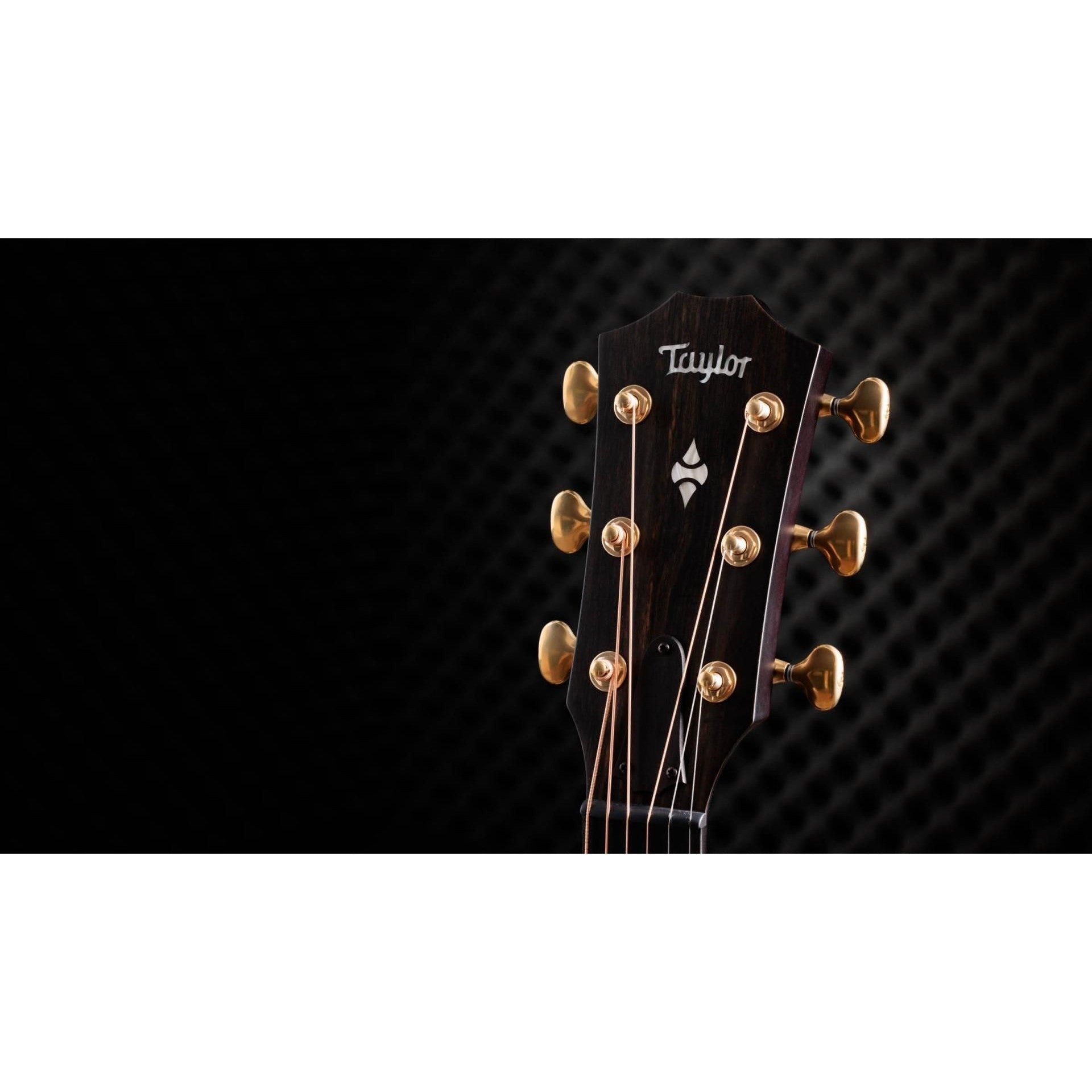 Đàn Guitar Acoustic Taylor 314CE LTD - 50th Anniversary Builder's Edition, Natural