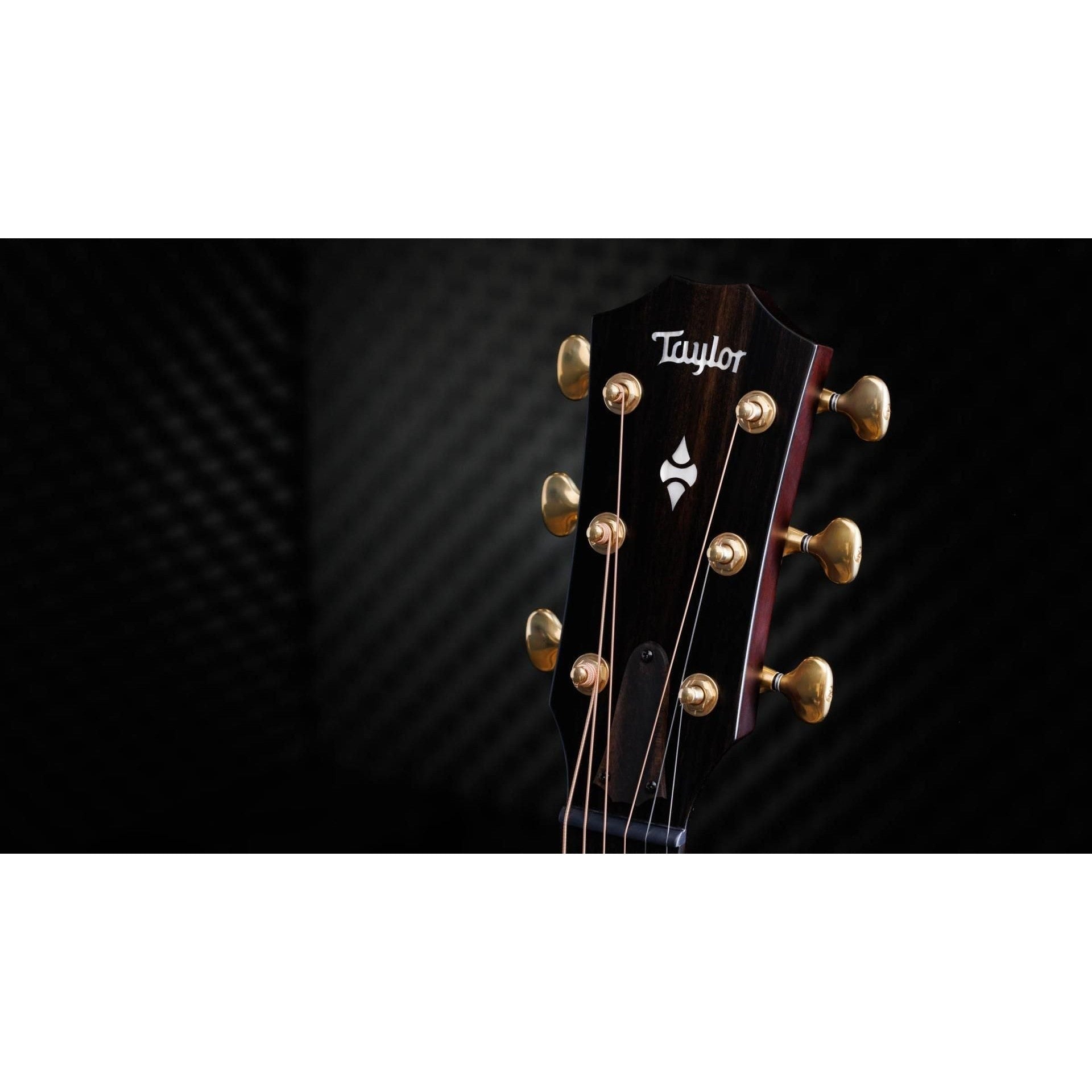 Đàn Guitar Acoustic Taylor 314CE LTD - 50th Anniversary Builder's Edition, Tobacco