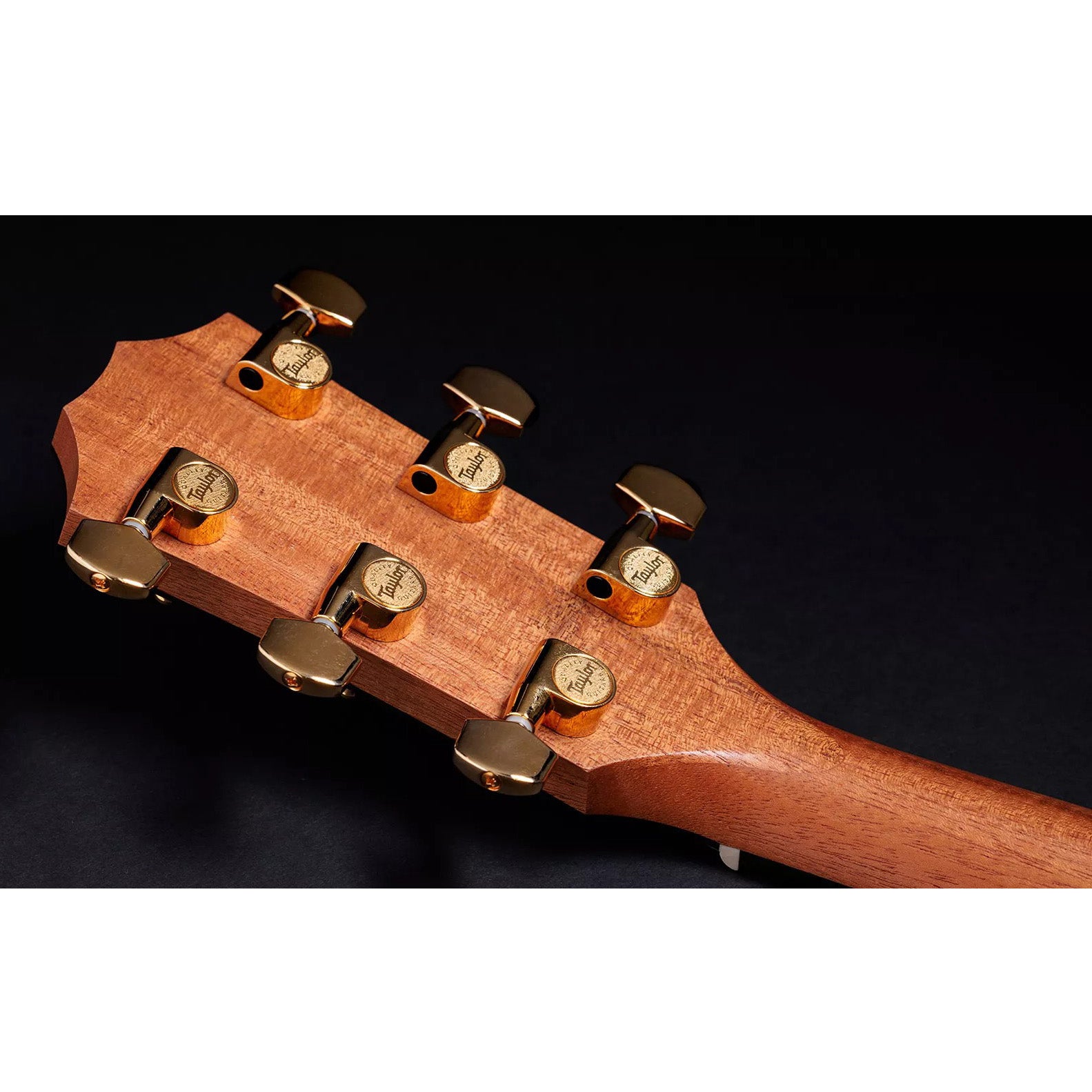 Đàn Guitar Acoustic Taylor 50th Anniversary 217e-SB Plus LTD