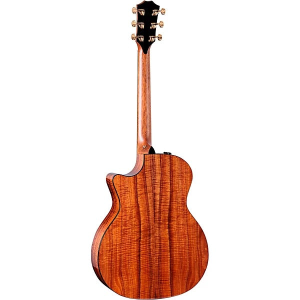 Đàn Guitar Acoustic Taylor 50th Anniversary 924ce-K LTD and Circa 74 Amp