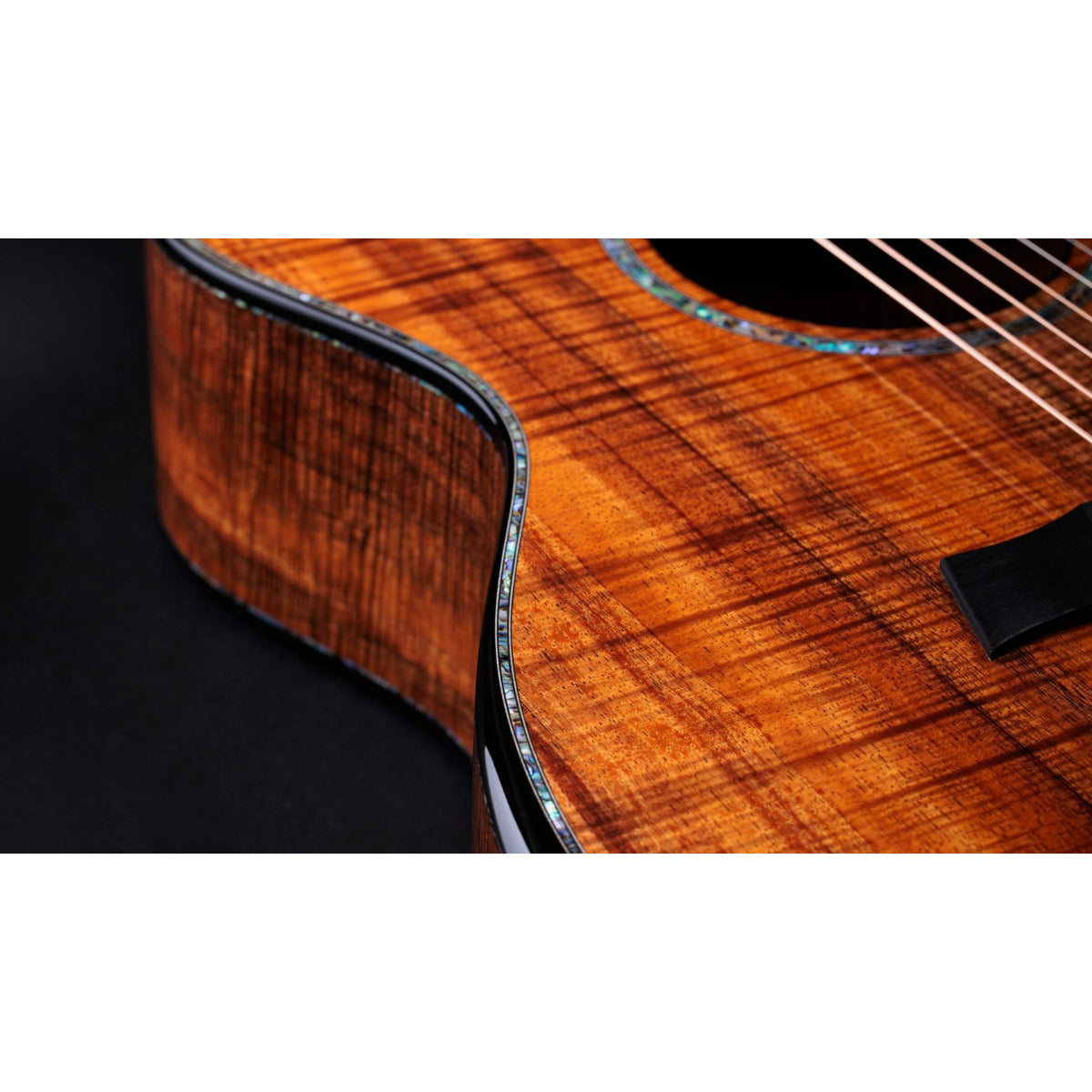 Đàn Guitar Acoustic Taylor 50th Anniversary 924ce-K LTD and Circa 74 Amp