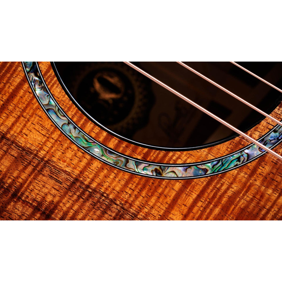 Đàn Guitar Acoustic Taylor 50th Anniversary 924ce-K LTD and Circa 74 Amp