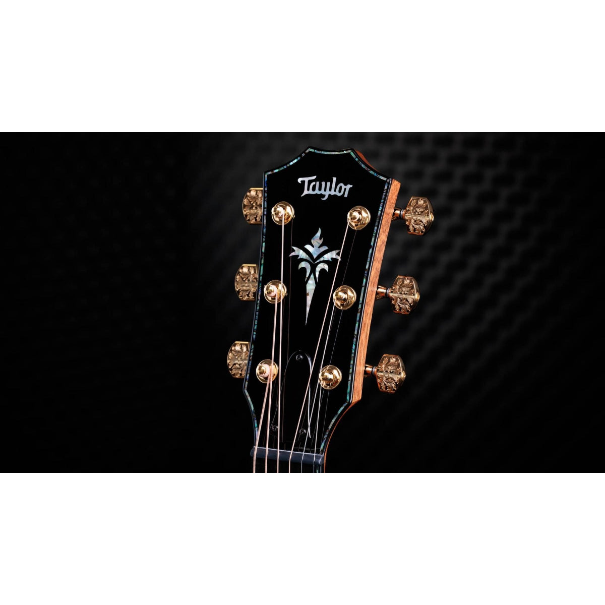 Đàn Guitar Acoustic Taylor 50th Anniversary 924ce-K LTD and Circa 74 Amp