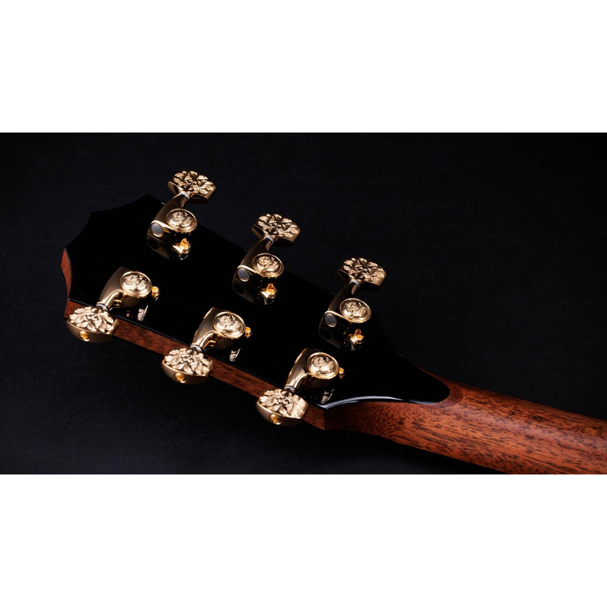 Đàn Guitar Acoustic Taylor 50th Anniversary 924ce-K LTD and Circa 74 Amp