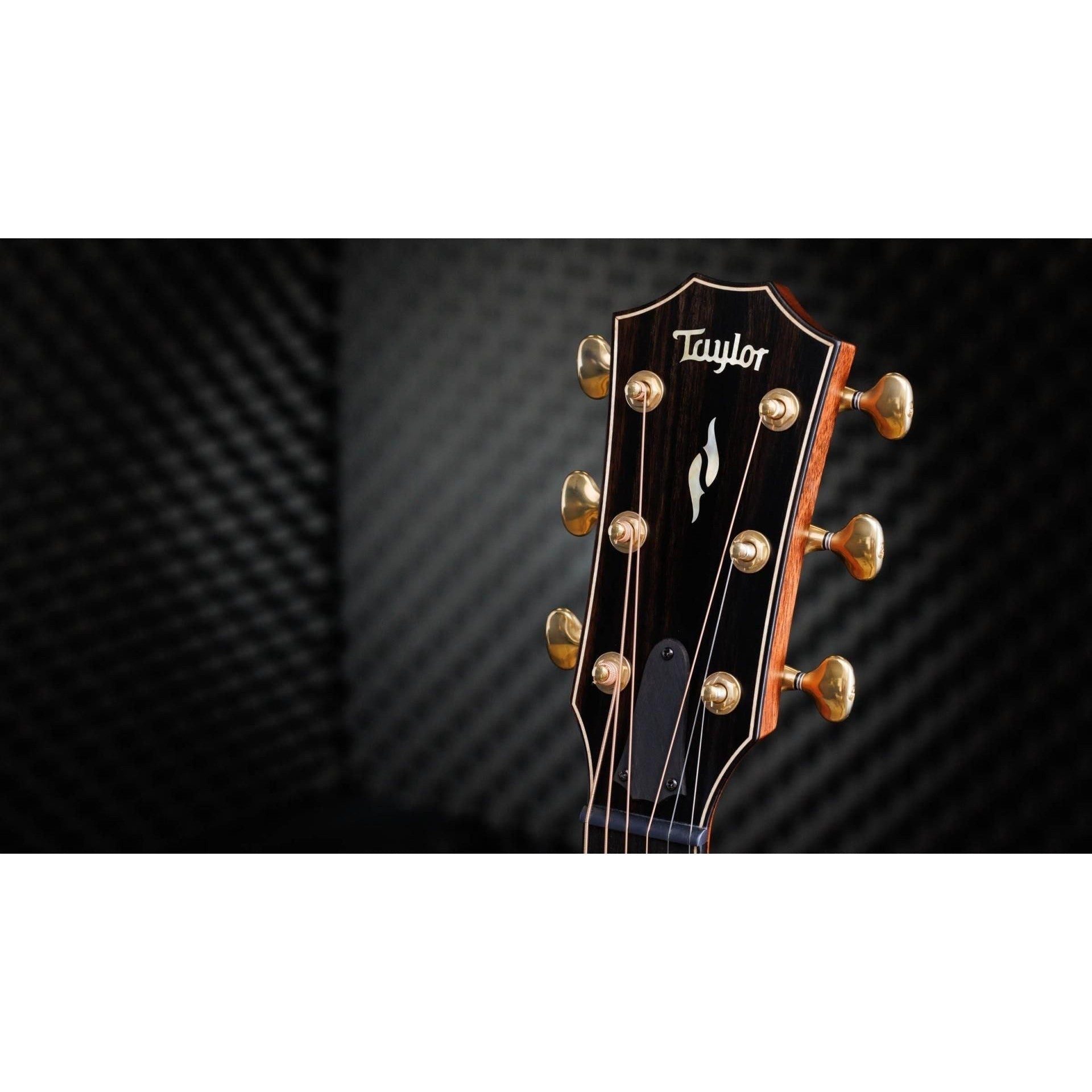 Đàn Guitar Acoustic Taylor 50th Anniversary Builder's Edition 814ce LTD