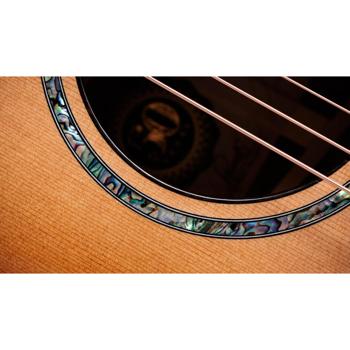 Đàn Guitar Acoustic Taylor 50th Anniversary PS14ce LTD & Circa 74 Amp