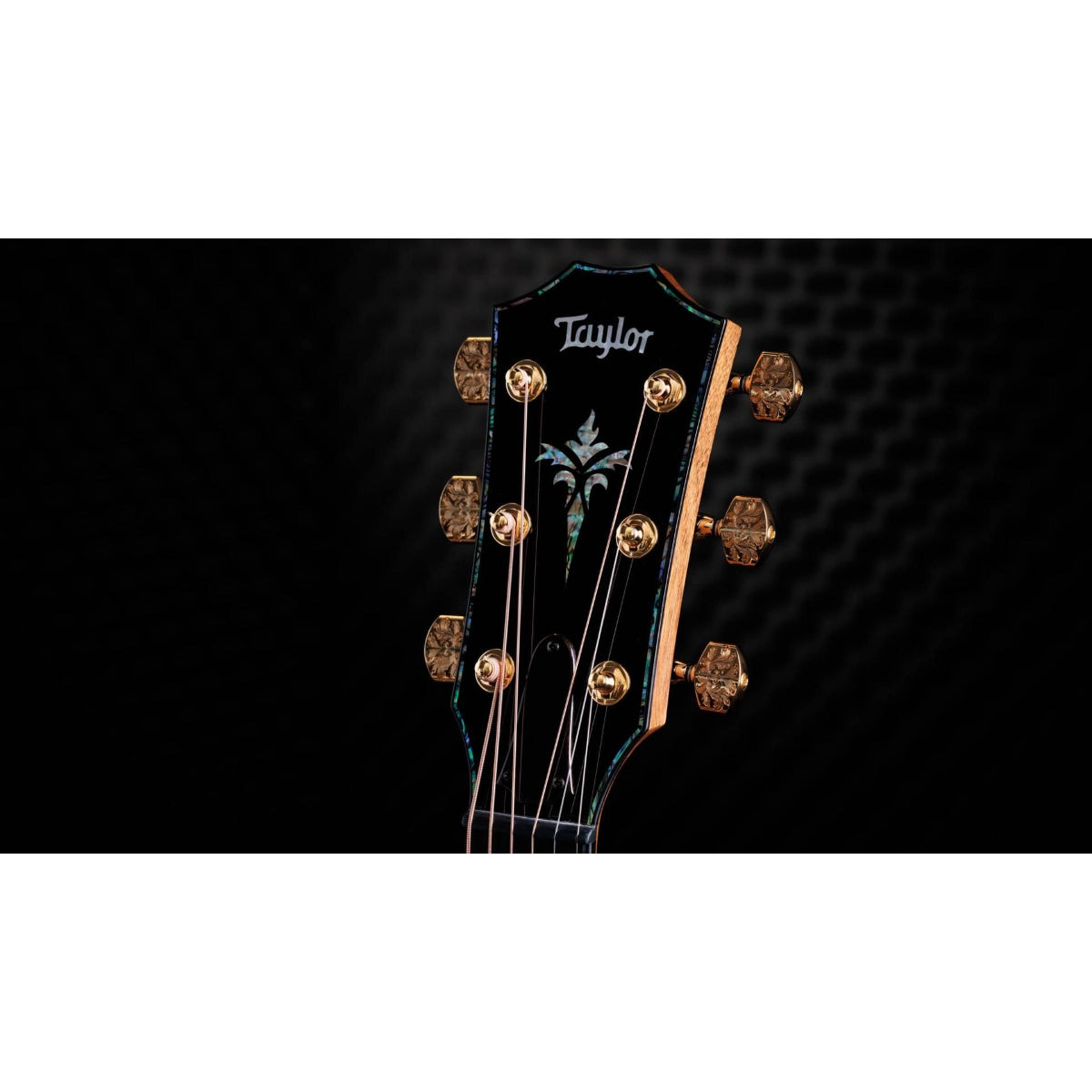 Đàn Guitar Acoustic Taylor 50th Anniversary PS14ce LTD & Circa 74 Amp