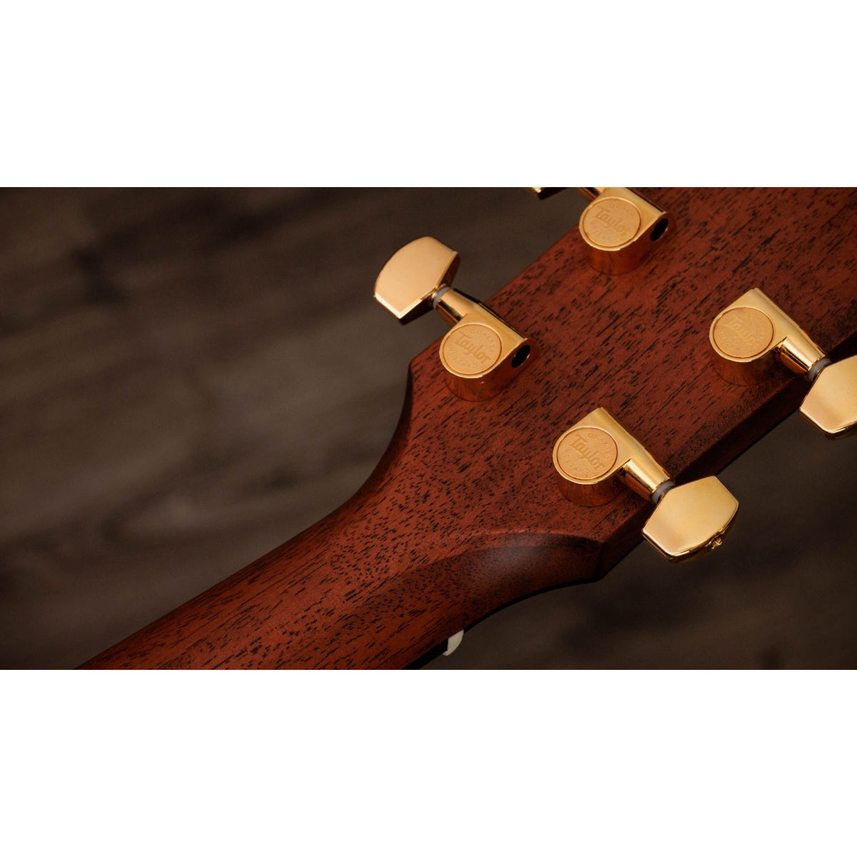 Đàn Guitar Acoustic Taylor 514ce Legacy