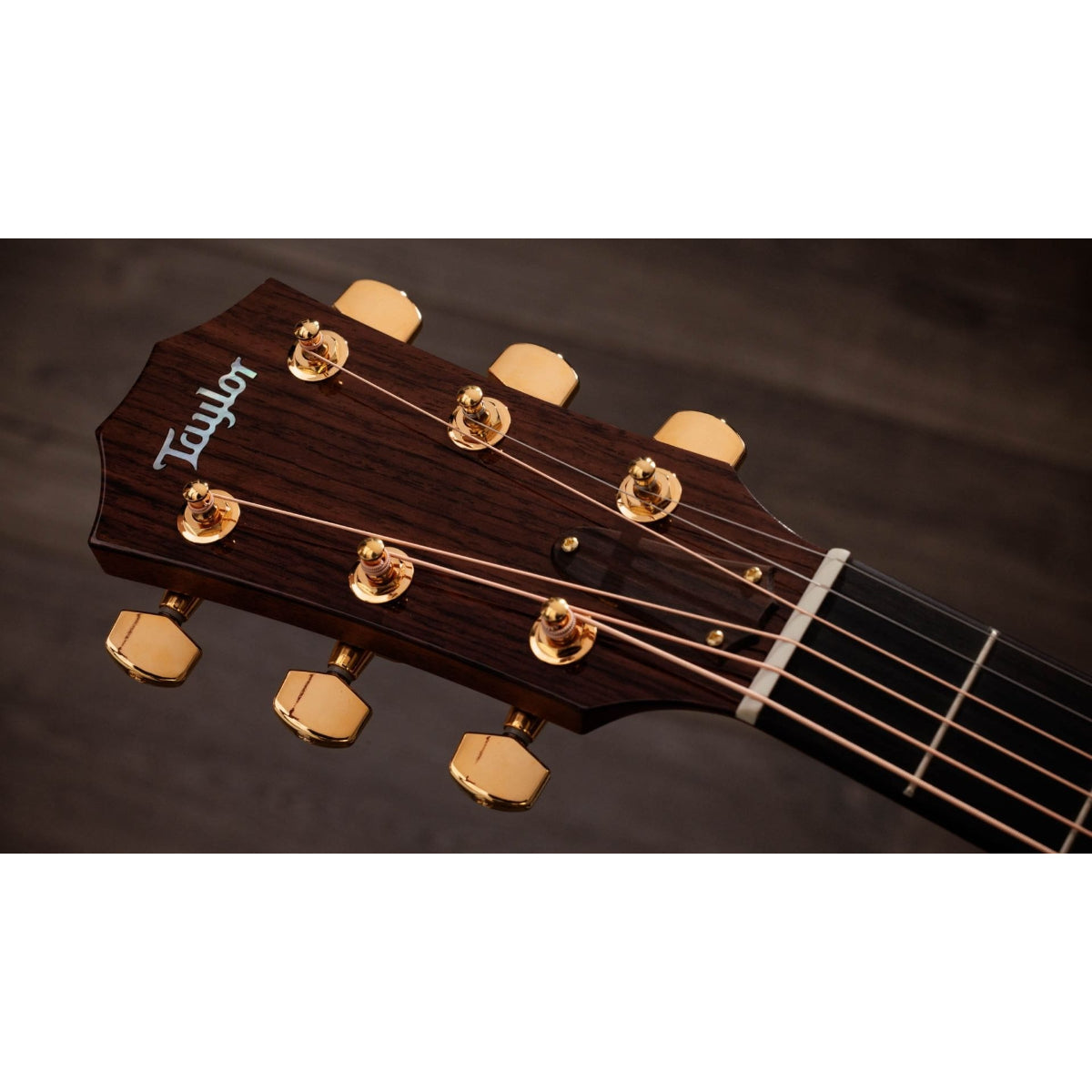 Đàn Guitar Acoustic Taylor 514ce Legacy