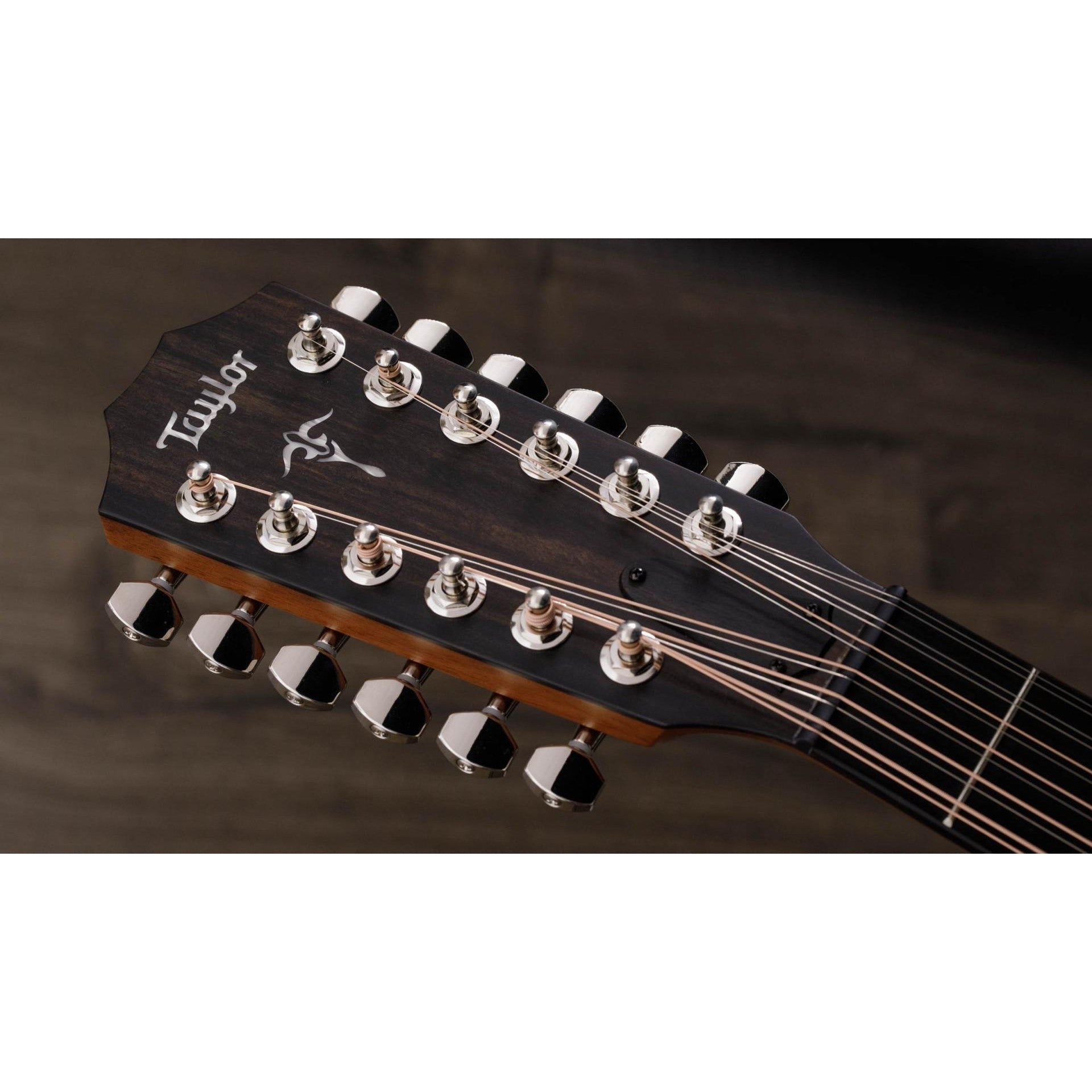 Đàn Guitar Acoustic Taylor 552ce