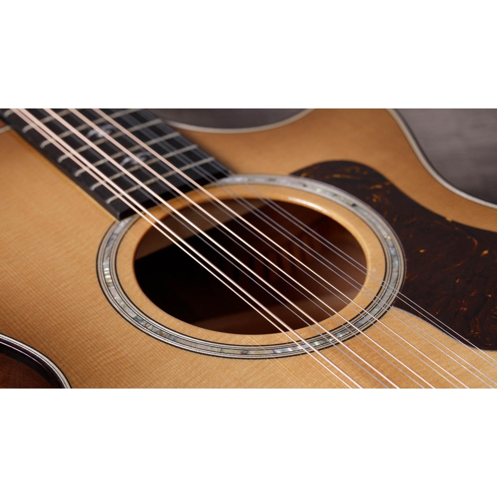 Đàn Guitar Acoustic Taylor 552ce