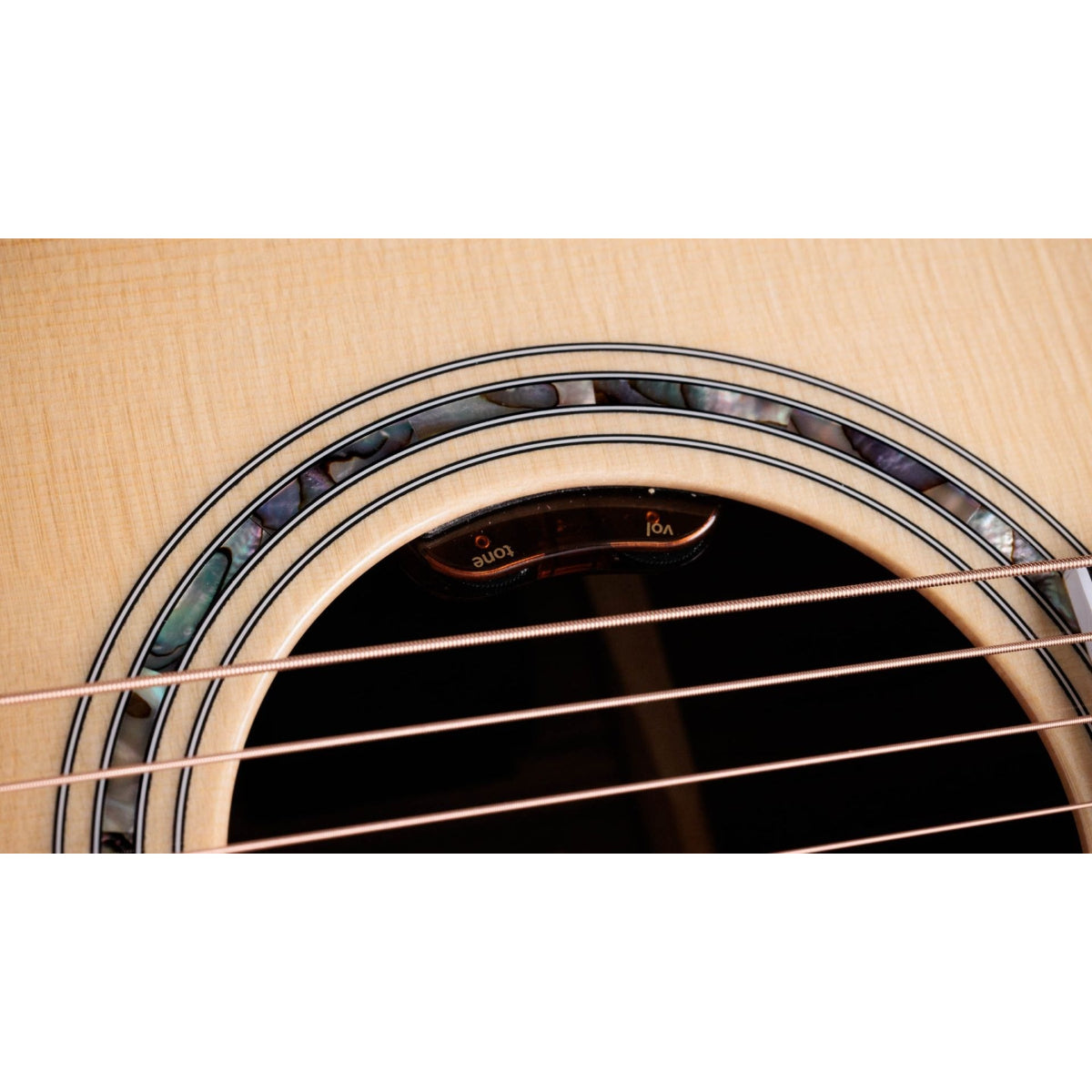 Đàn Guitar Acoustic Taylor 815e Legacy