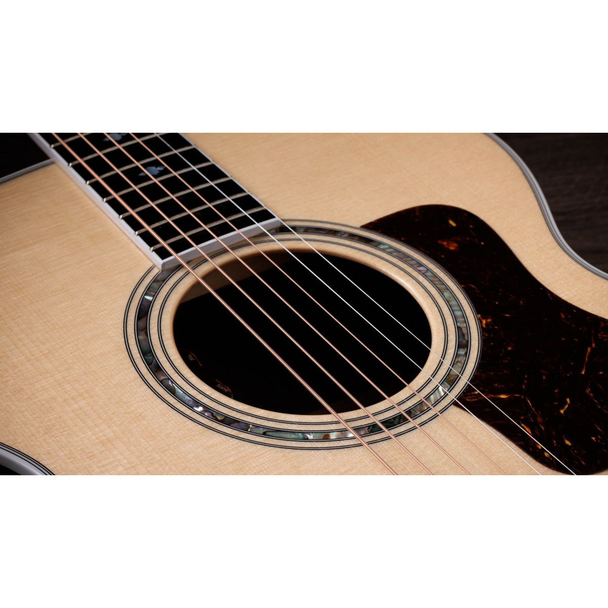 Đàn Guitar Acoustic Taylor 815e Legacy