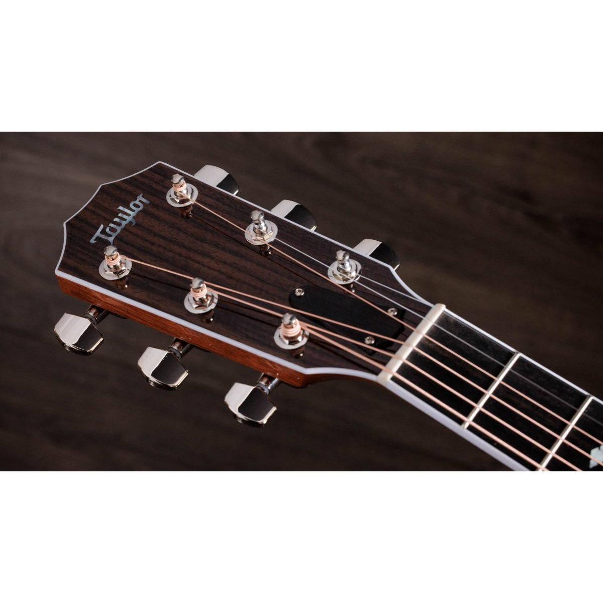 Đàn Guitar Acoustic Taylor 815e Legacy