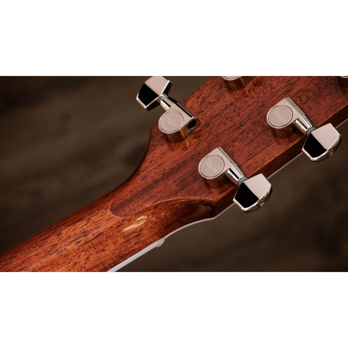 Đàn Guitar Acoustic Taylor 815e Legacy