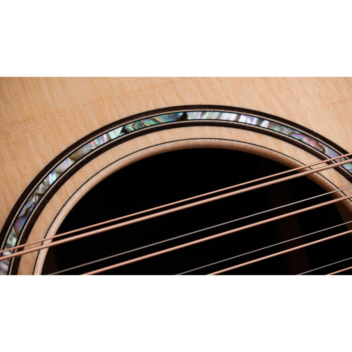 Đàn Guitar Acoustic Taylor 854ce