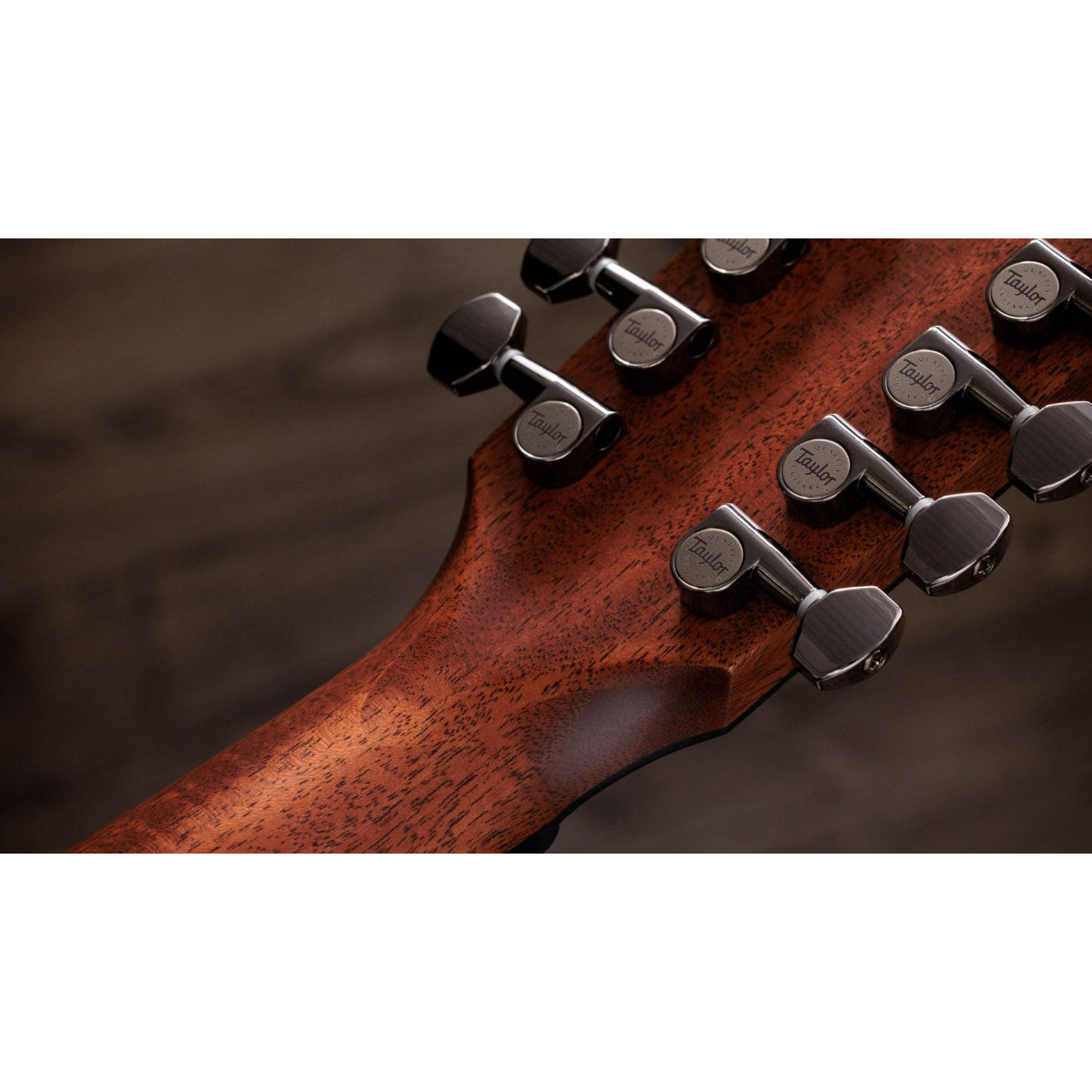 Đàn Guitar Acoustic Taylor 854ce