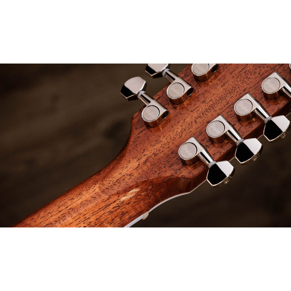 Đàn Guitar Acoustic Taylor 855e Legacy