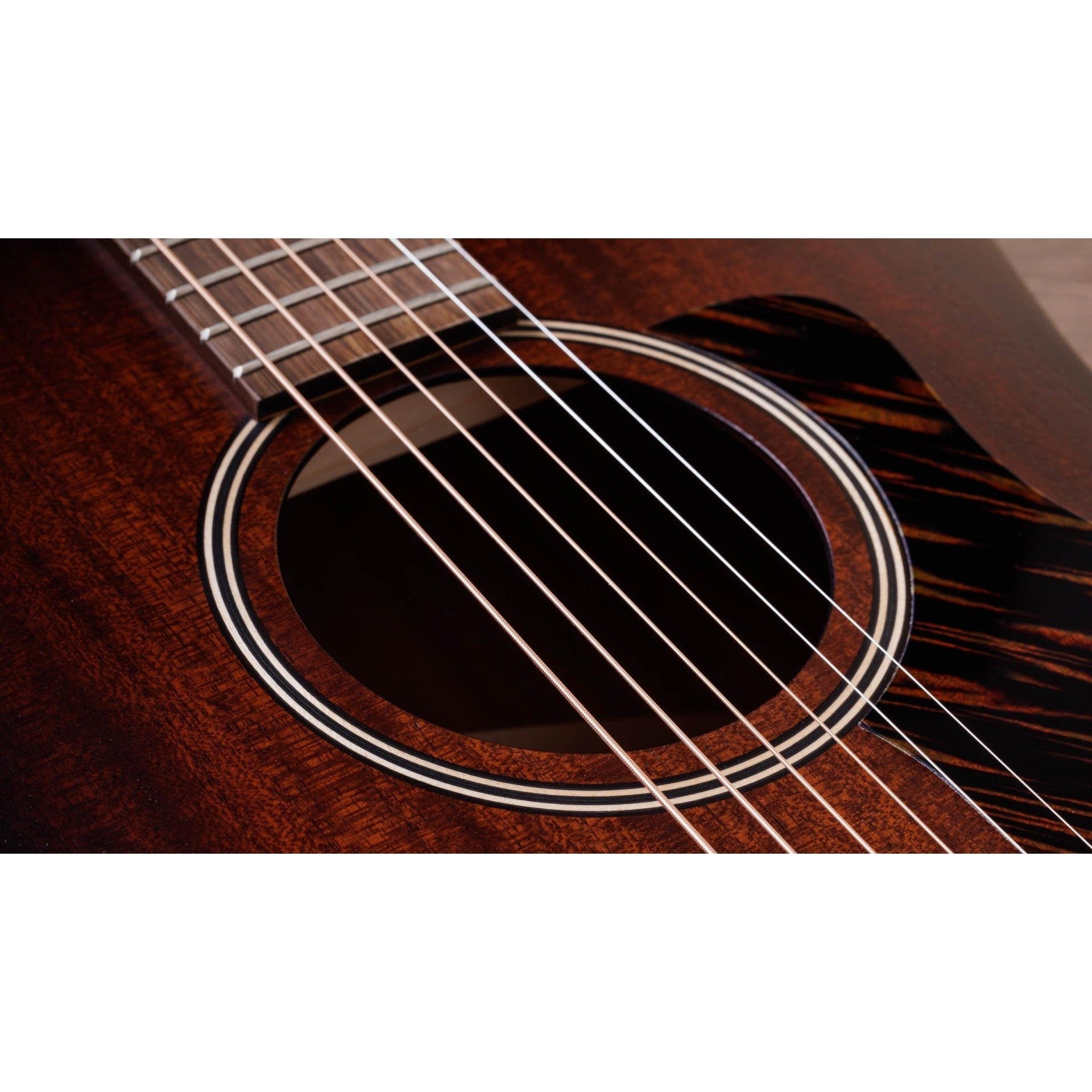 Đàn Guitar Acoustic Taylor AD21E - Taylor GT