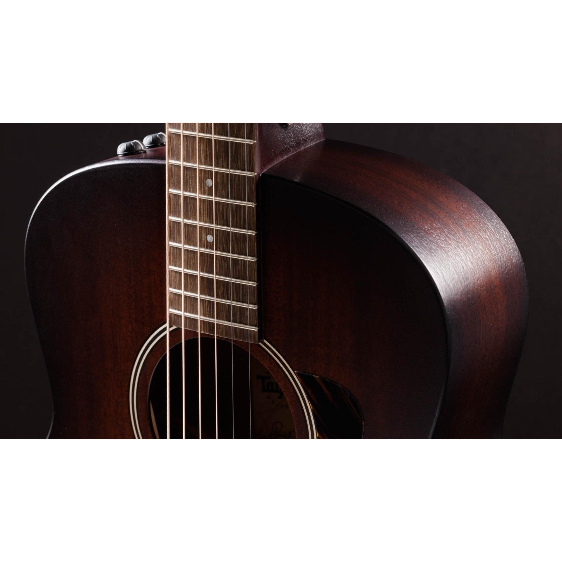 Đàn Guitar Acoustic Taylor AD21E - Taylor GT