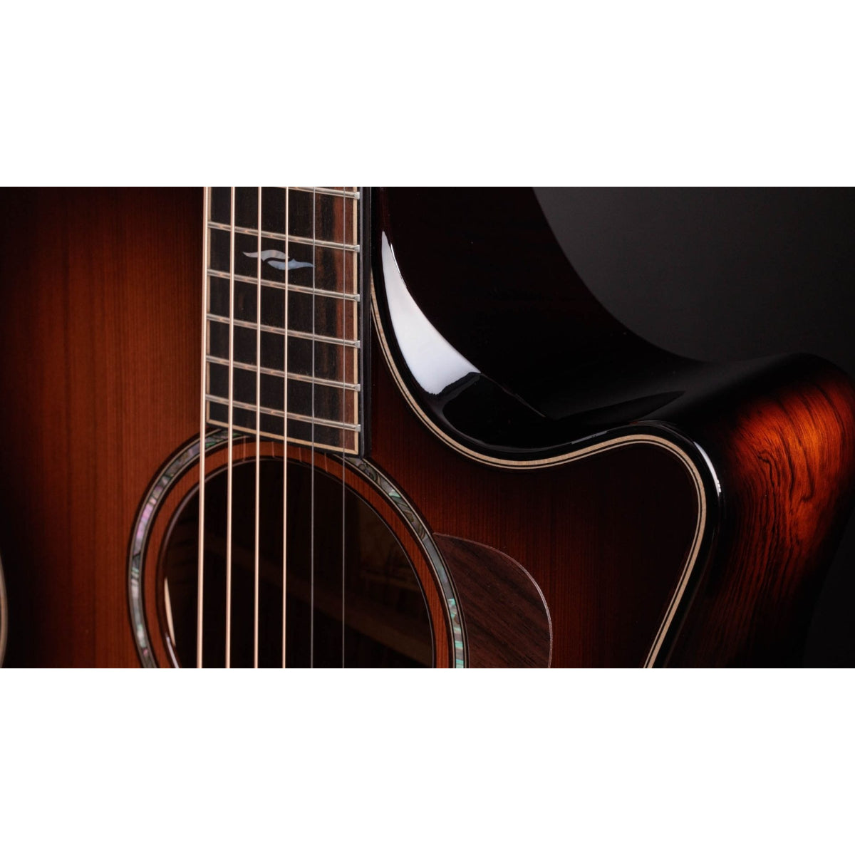 Đàn Guitar Acoustic Taylor Builder's Edition 814ce, Sinker Redwood