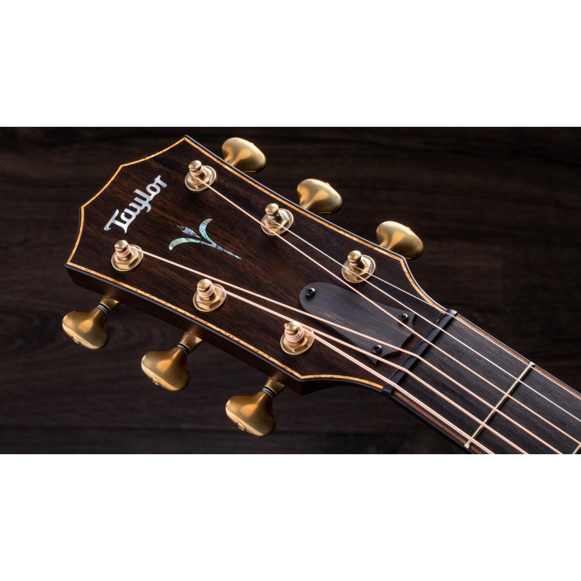 Đàn Guitar Acoustic Taylor Builder's Edition K24ce