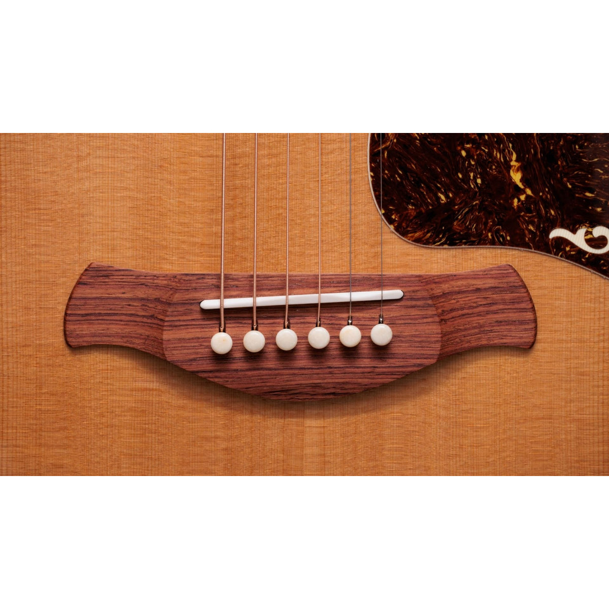 Đàn Guitar Acoustic Taylor Gold Label 814e Koa, Natural