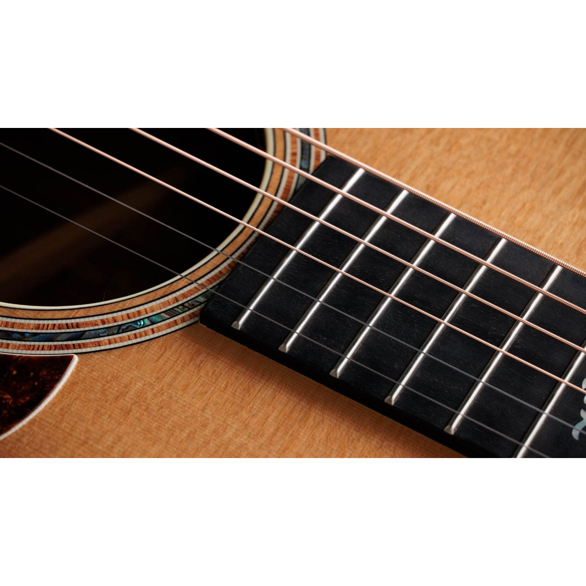 Đàn Guitar Acoustic Taylor Gold Label 814e Koa, Natural