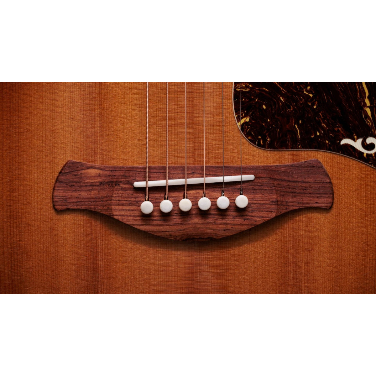Đàn Guitar Acoustic Taylor Gold Label 814e Koa, Sunburst