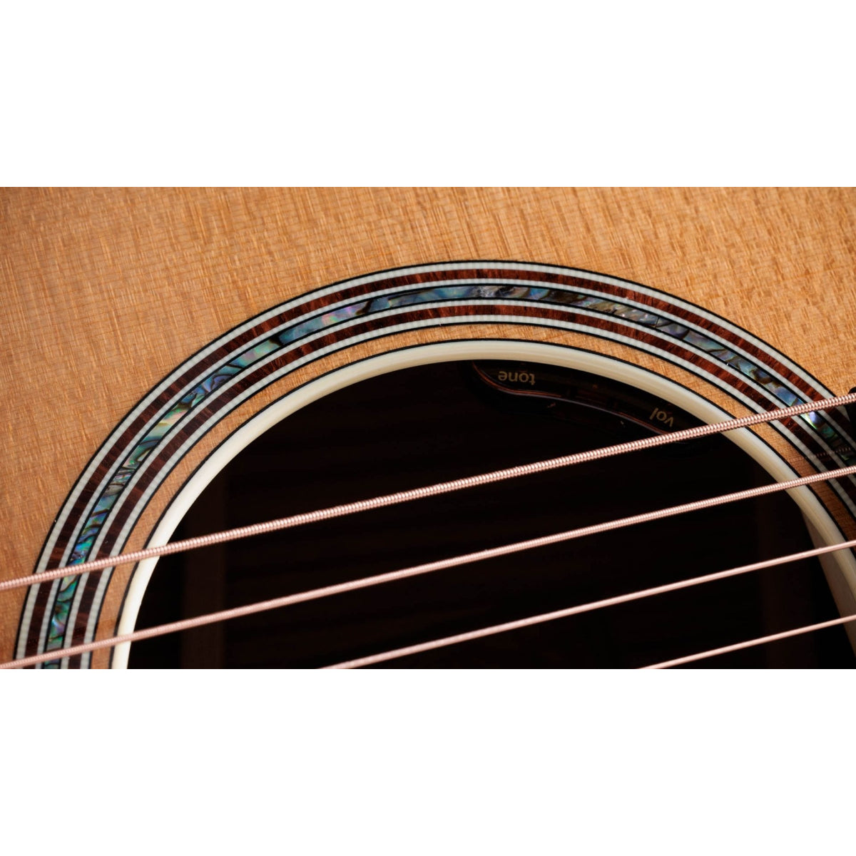 Đàn Guitar Acoustic Taylor Gold Label 814e,Natural
