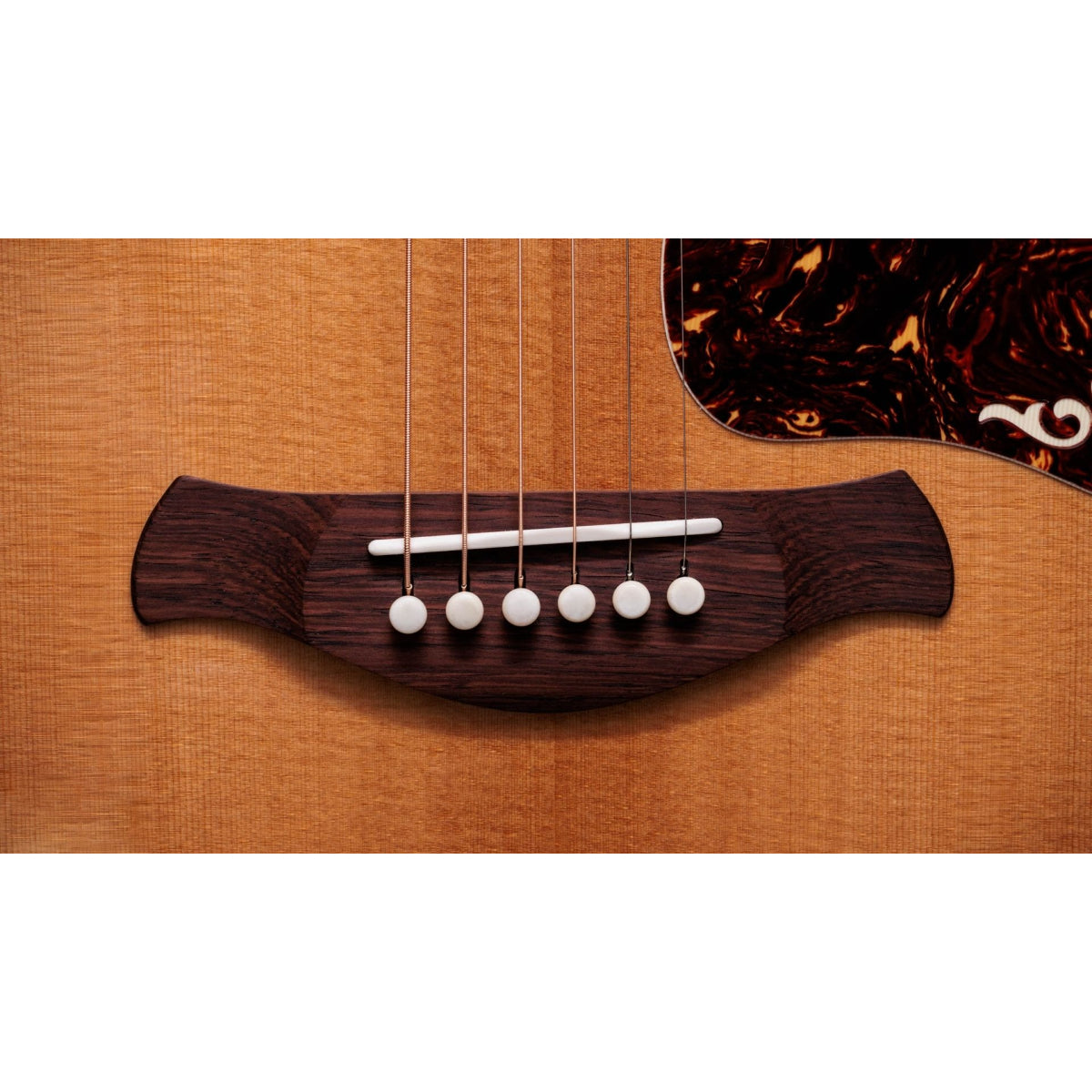 Đàn Guitar Acoustic Taylor Gold Label 814e,Natural