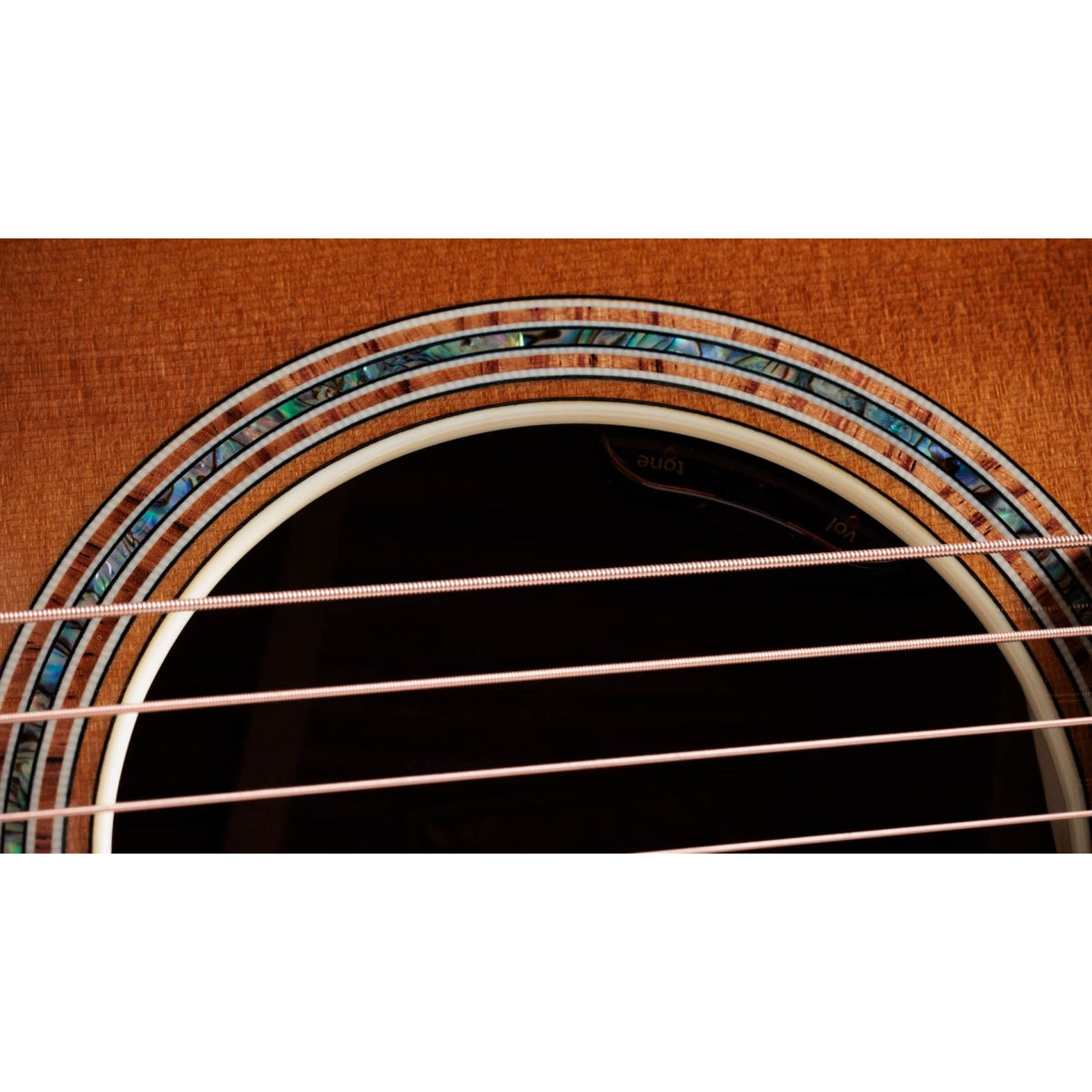 Đàn Guitar Acoustic Taylor Gold Label 814e, Sunburst