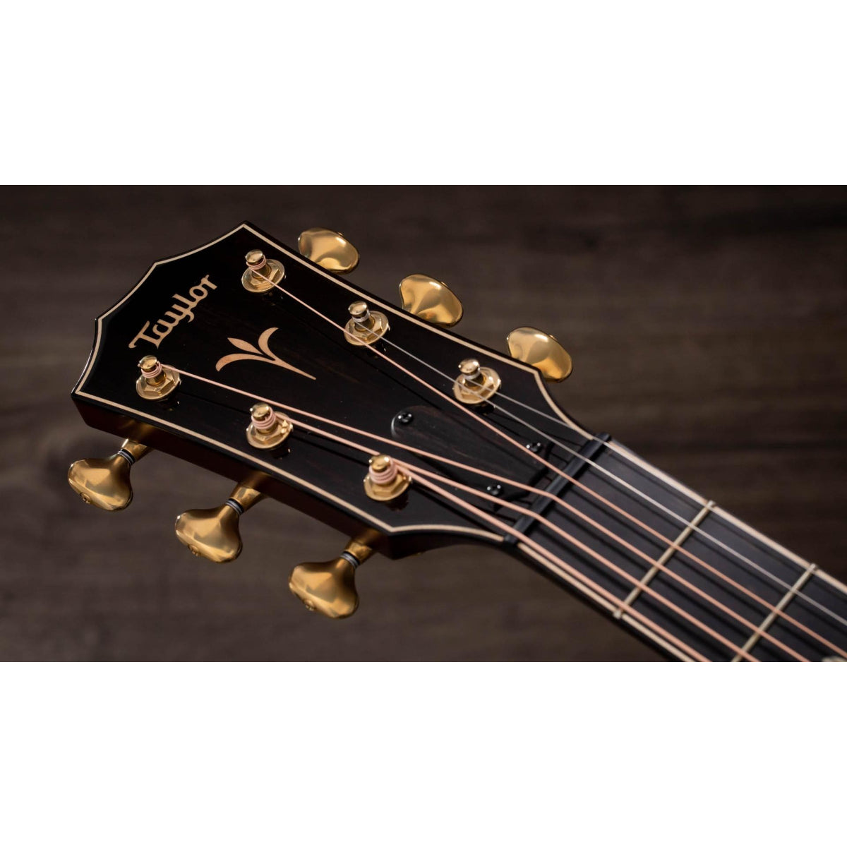 Đàn Guitar Acoustic Taylor K22ce