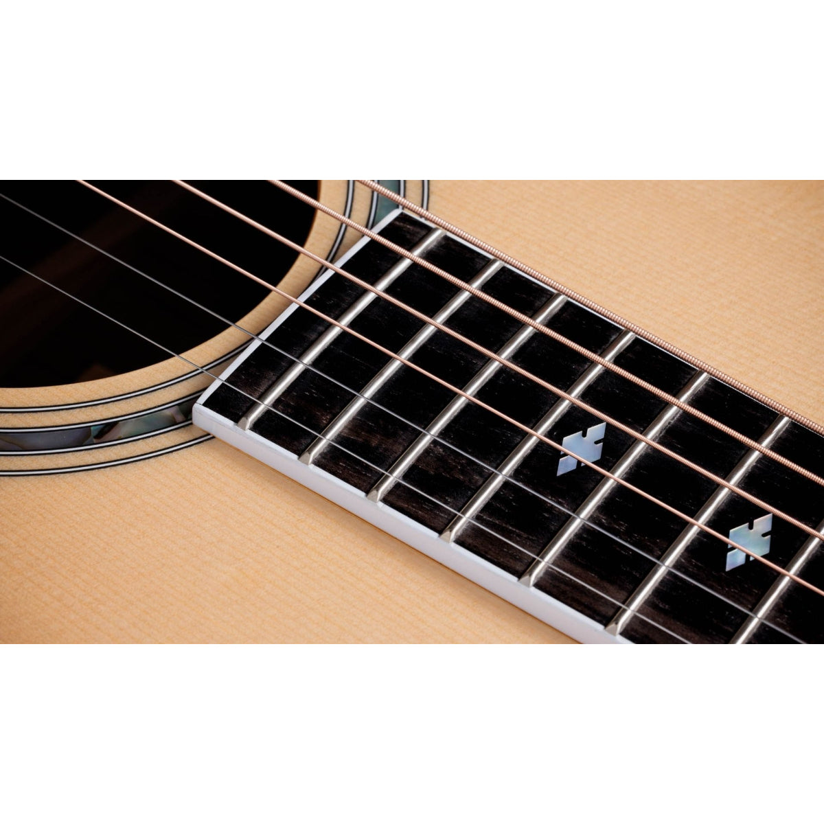 Đàn Guitar Acoustic Taylor Legacy 810e