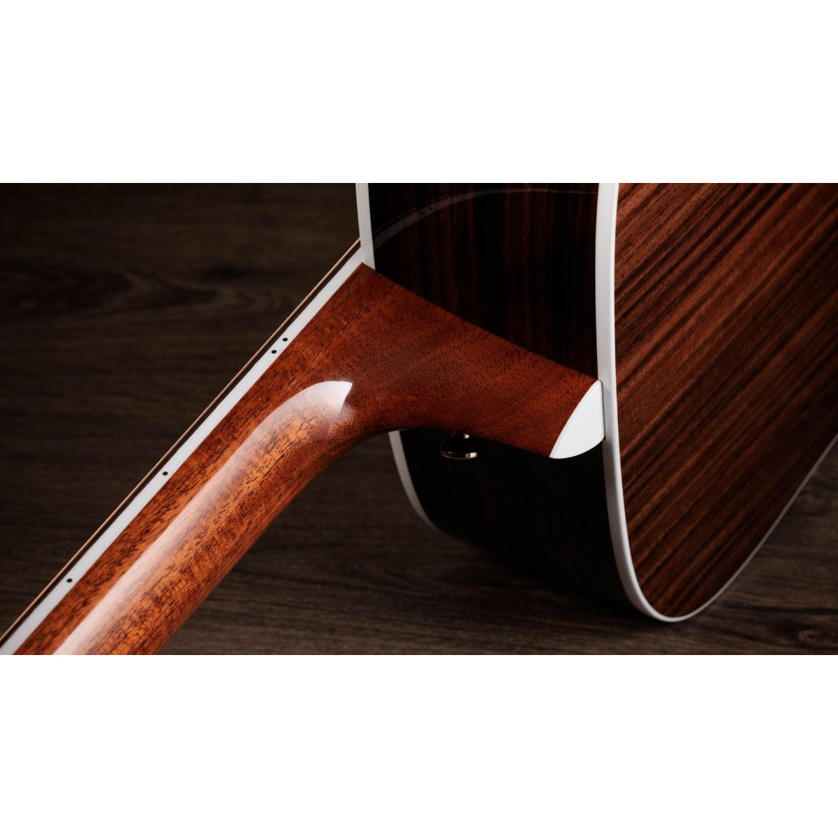 Đàn Guitar Acoustic Taylor Legacy 810e