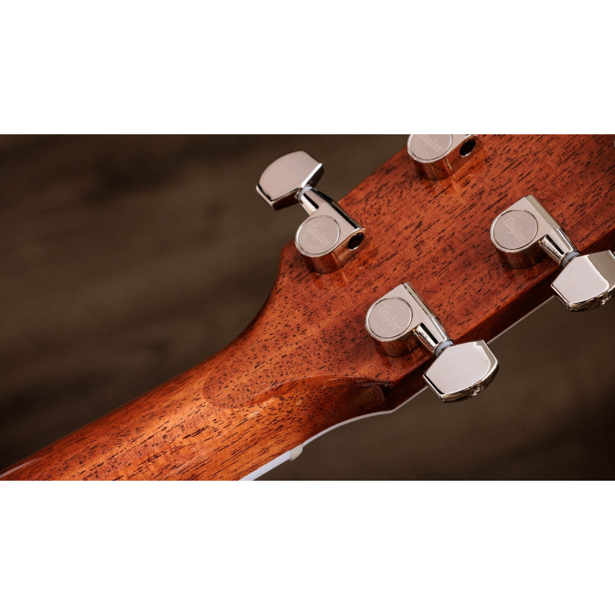 Đàn Guitar Acoustic Taylor Legacy 810e