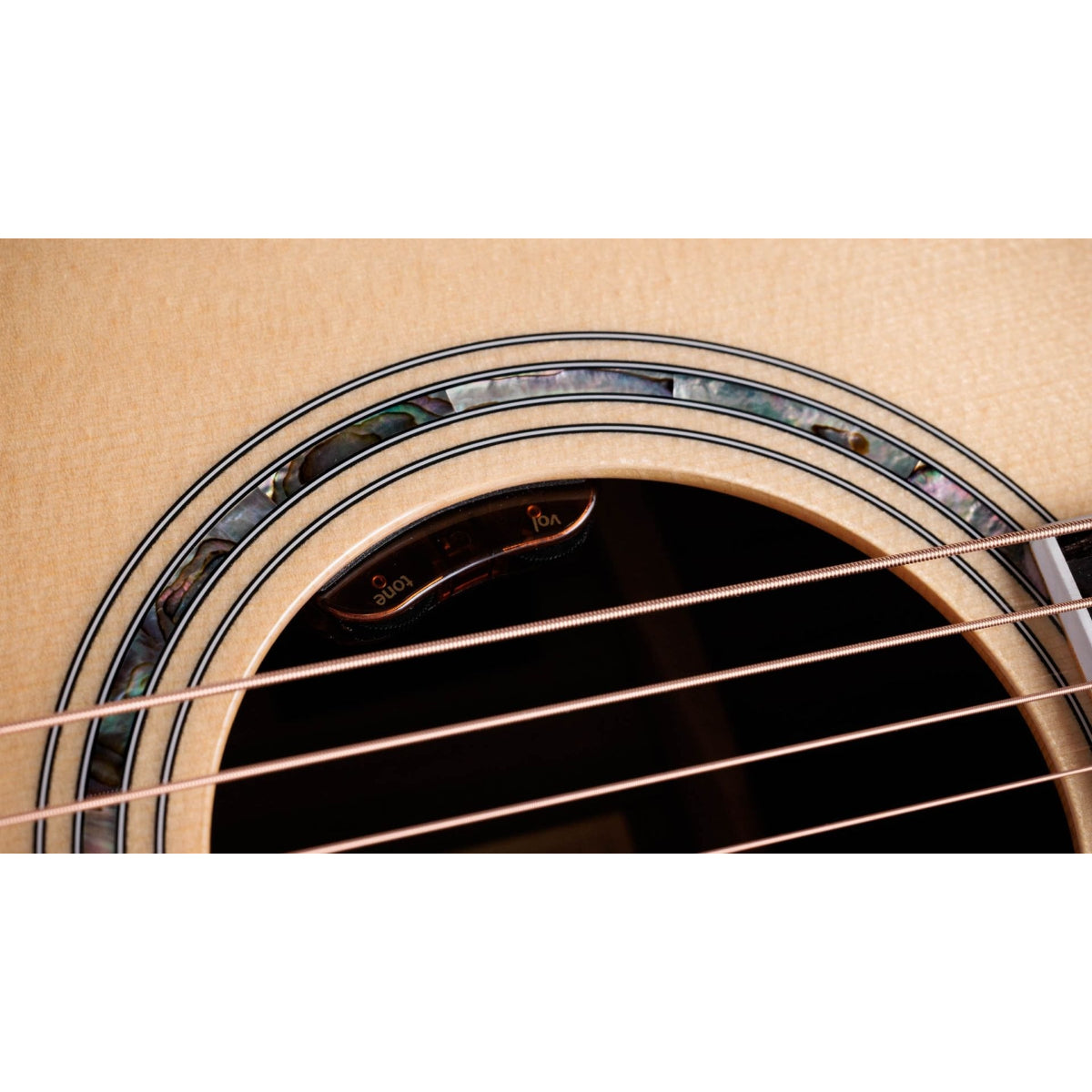 Đàn Guitar Acoustic Taylor Legacy 810e