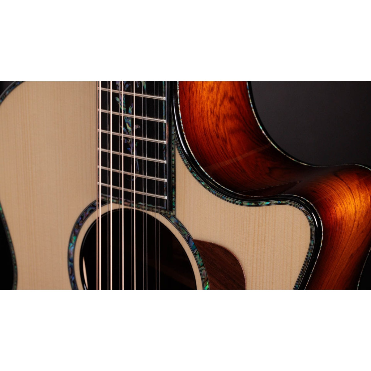 Đàn Guitar Acoustic Taylor Presentation Series PS54ce
