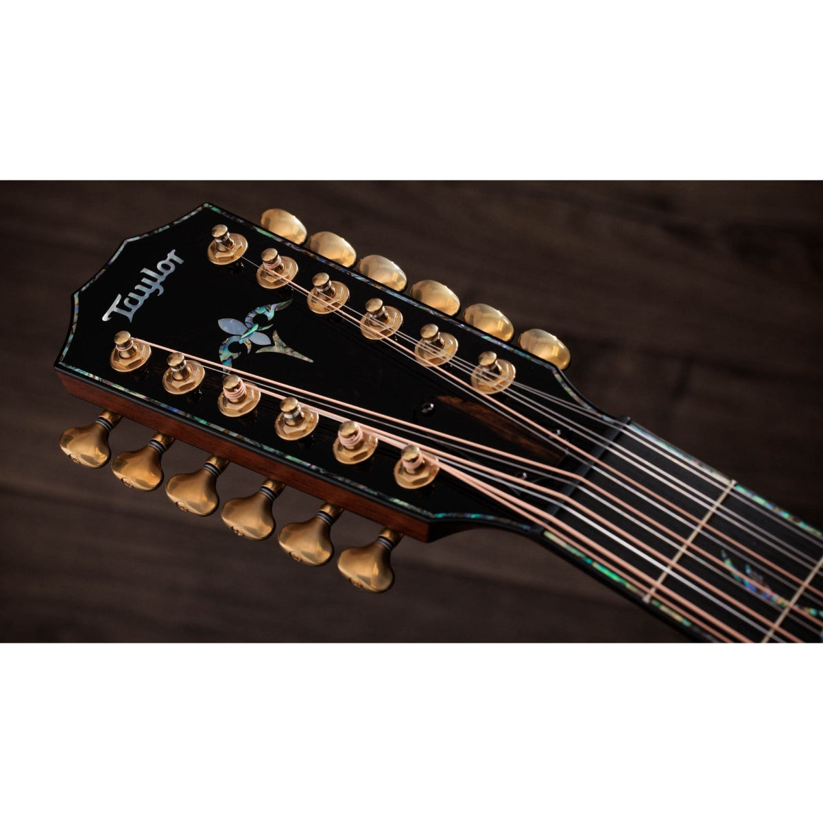 Đàn Guitar Acoustic Taylor Presentation Series PS54ce