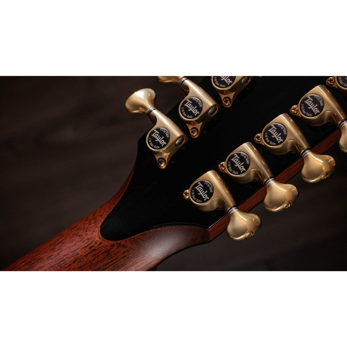 Đàn Guitar Acoustic Taylor Presentation Series PS54ce