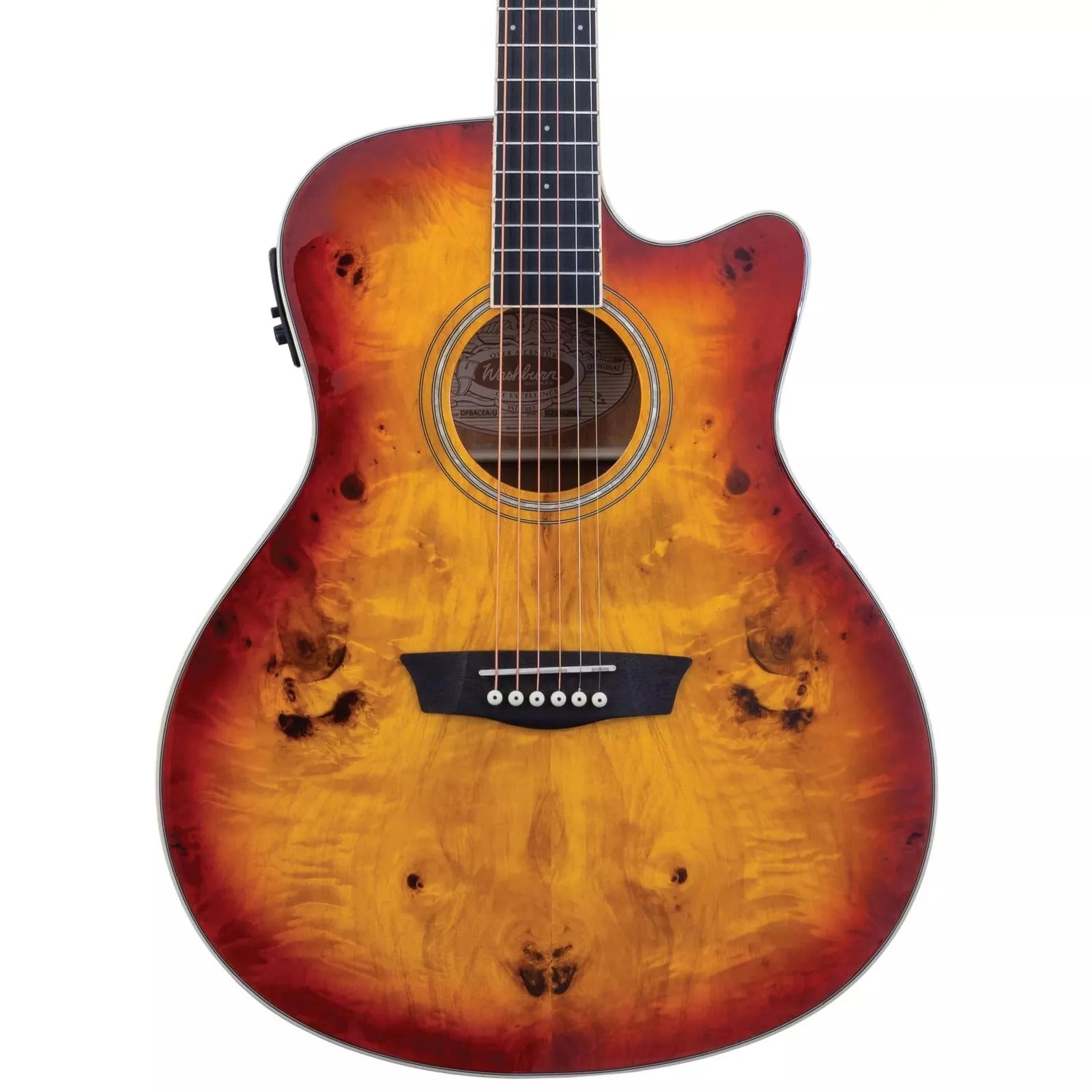 Đàn Guitar Acoustic Washburn Burl ACE